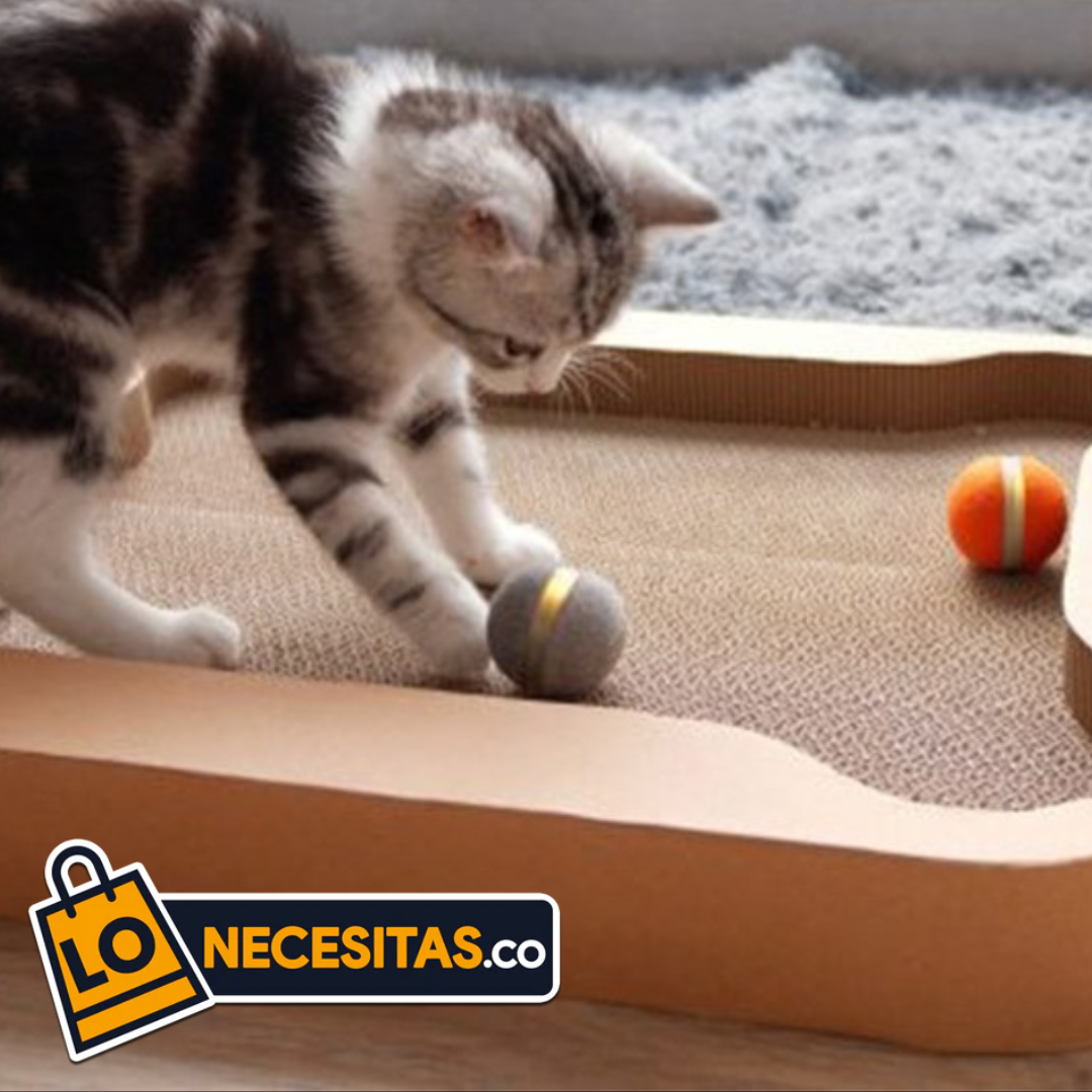 Juguete para Gato Cheerble Ball